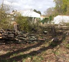 Chantier pour bûcheron amateur !