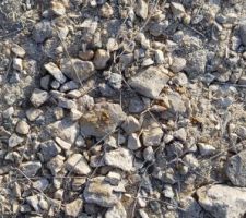 Aper&ccedil;u des restes de la composition du b&eacute;ton arm&eacute; de fibres m&eacute;talliques.