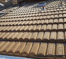 Travaux du vide sanitaire en cours avant le coulage de la dalle : jour 2(05/04/2017), photo 14/19