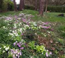 Le jardin
