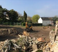 Desouchage des arbres