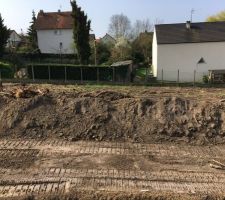 Desouchage des arbres