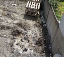 Jardin avant nettoyage