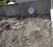 Jardin avant nettoyage