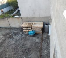 Jardin en cours de nettoyage - 1er jour!