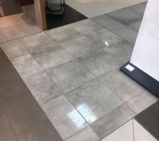 Carrelage de la salle de bain ,c'est gris brillant