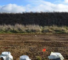 Sortie d'Eaux Us&eacute;es (non reli&eacute;e) + Sortie d'Eaux Pluviales