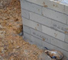 Eau stagnante sur les murs du vide sanitaire