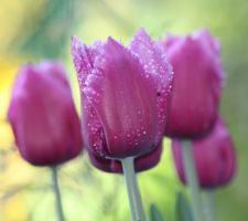 Deux jardinières suffisent à s'évader