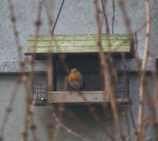 Deux jardinières suffisent à s'évader