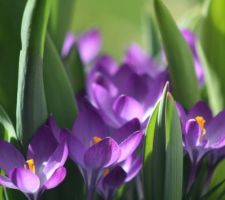 Deux jardinières suffisent à s'évader