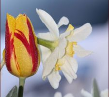 Deux jardinières suffisent à s'évader