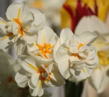 Deux jardinières suffisent à s'évader