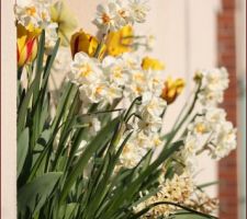 Deux jardinières suffisent à s'évader