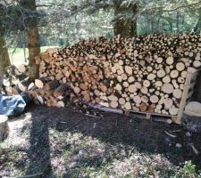 Et hop, 8 stères de bois pour l'hiver !