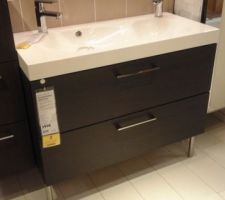 Nous avons choisi cette double vasque mais sans le meuble.