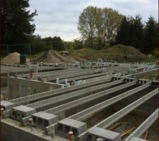 Pose des poutrelles de la dalle