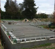 Pose des poutrelles de la dalle