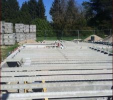 Pose des poutrelles de la dalle