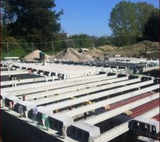 Pose des poutrelles de la dalle