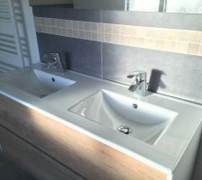 Meuble + miroir SDB posés