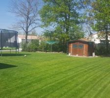 Trampoline Etendoir a linge et cabane de Jardin