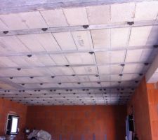 Griffes pr Suspentes plafond coté hourdies beton