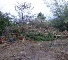 Tas de bois &agrave; tronconner