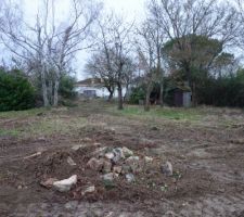 Terrain sans les arbres