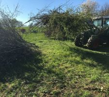 Rassemblement des branches