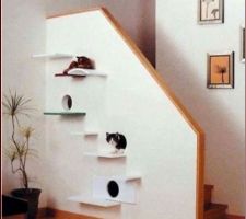 Pour les fans de chats avec une maison à étage :-)