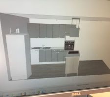 Notre cadeau ? par maisons pierre une cuisine à 9000 euros four, réfrigérateur, plaque de cuisson, lave vaisselle, hôte et tous les meubles !!! 
Mais il faut rajouter quand même un peu pour changer la couleur des électroménagers et ajoutée des choses 800 euros en plus ?? bon bah c'est parti on signe !
On va pas se plaindre avec une cuisine qui nous coûte seulement 800 euros ?