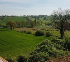 Vue de notre chambre sur le Golf