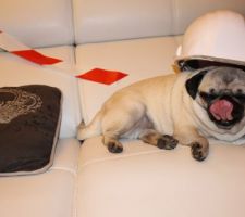 Chouille d'ouverture de chantier!