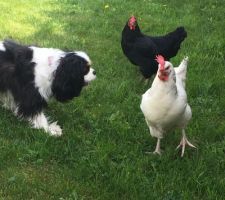 Apres les travaux on profite