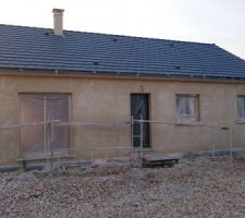 Crépis en cours