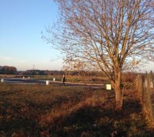 Vu de la borne de gauche fond de terrain