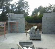 Lundi de p&acirc;ques, petite visite en famille et quelle belle surprise de voir les ma&Atilde;&sect;ons aujourd'hui sa sent la fin du rdc, sur la photo les planelles pointes le bout de leurs nez