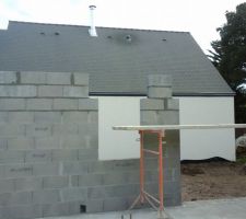 Lundi de p&acirc;ques, petite visite en famille et quelle belle surprise de voir les ma&Atilde;&sect;ons aujourd'hui sa sent la fin du rdc, sur la photo les planelles pointes le bout de leurs nez