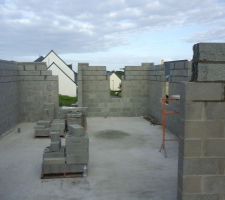 Lundi de p&acirc;ques, petite visite en famille et quelle belle surprise de voir les ma&Atilde;&sect;ons aujourd'hui sa sent la fin du rdc, sur la photo les planelles pointes le bout de leurs nez