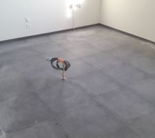 Carrelage fini_Cuisine