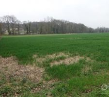 Notre terrain! Celui qu'on veut absolument. Entour&eacute; de champs, au calme!