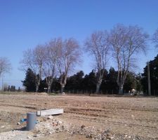 Voici une des premieres photos du terrain