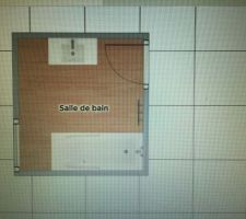 J'ai besoin de vos lumires ! Voici le plan de ma petite salle de bain. Les dimensions sont 2,29 x 2,43. La baignoire et le sche - serviette sont programms  cet emplacement. Je ne sais pas quoi choisir comme meubles sous vasque et colonne.. Si on prend une double vasque en 120cm je dis au revoir  la colonne de rangement. Je suis preneuse d'ides ! Merci d'avance !