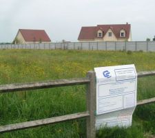 Notre terrain (vue de la route)