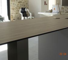 Table et son pied central