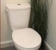 Les toilettes ! 

Bon les toilettes ça reste des toilettes hein, rien d'extraordinaire. Nous ne souhaitions pas de toilettes suspendus.