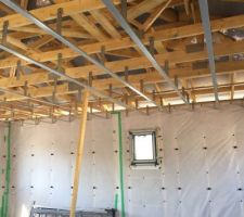 Les rails du plafond et les supports muraux sont en place