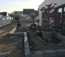 La terrasse en cours de création :)