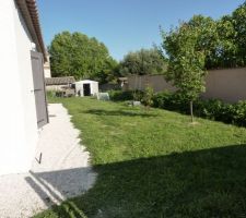 Vue de l'allée intérieure avec abricotier, citronnier, figuier ( trop petit pour le voir ) , la cabane au fond du jardin et l'herbe folle qui pousse trop vite en cette saison.